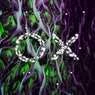 Cover Image for Zeeta Original Mix
