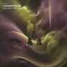 Cover Image for Solvent Frequencies Original Mix