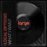Cover Image for What I Want Original Mix