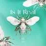 Cover Image for Is It Real Extended Mix