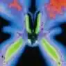 Cover Image for Squidward's Viola Original Mix