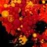 Cover Image for Asis Original Mix