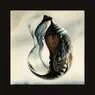 Cover Image for Temporal Entanglement Original Mix