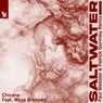 Cover Image for Saltwater feat. Moya Brennan Paul Webster & Patrick Gormley Remix