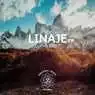 Cover Image for Lumin Original Mix