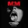 Cover Image for Madman Original Mix