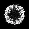Cover Image for Downfall Original Mix