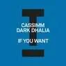Cover Image for If You Want Extended Mix
