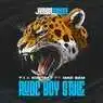 Cover Image for Rude Boi Style Original Mix