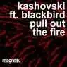 Cover Image for Pull Out The Fire Original Mix