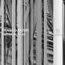 Cover Image for Holobionte Original Mix
