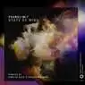 Cover Image for State of Mind DJ Andy De Gage' Festival Remix