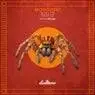 Cover Image for Tirta Original Mix