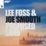 Cover Image for Promised Land Original Mix