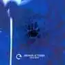 Cover Image for Shibboleth Original Mix