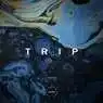 Cover Image for Trip Original Mix