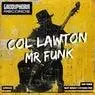 Cover Image for Mr Funk Original Mix