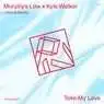 Cover Image for Take My Love Original Mix