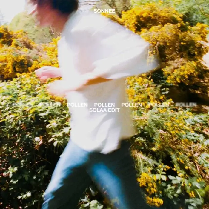 Cover Image: Sonnee - Pollen (SOLAA Edit) on Warner Music Central Europe