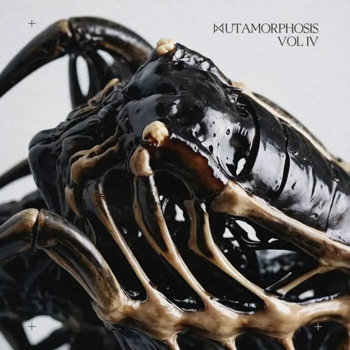 Cover Image: VA - MUTAMORPHOSIS, Pt. 4 on No Mercy