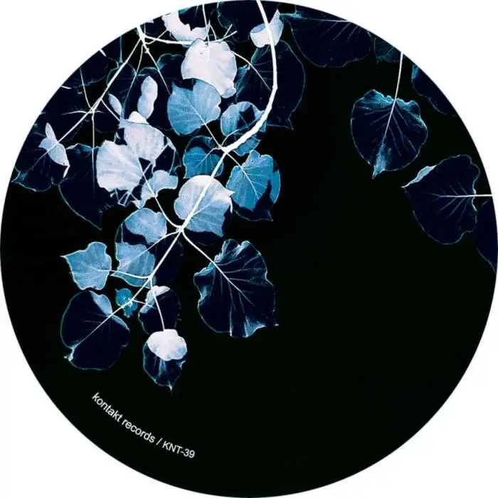 Cover Image: Bluetrain, Prince Morella - Frozen Rose on Kontakt