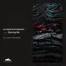 Cover Image for Burning Me Peshta Gora Remix