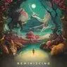 Cover Image for Reminiscing Original Mix