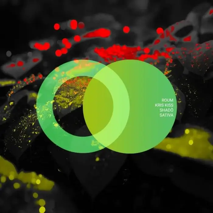 Cover Image: Roum, Shado, Kris Kiss - Sativa on Area Verde