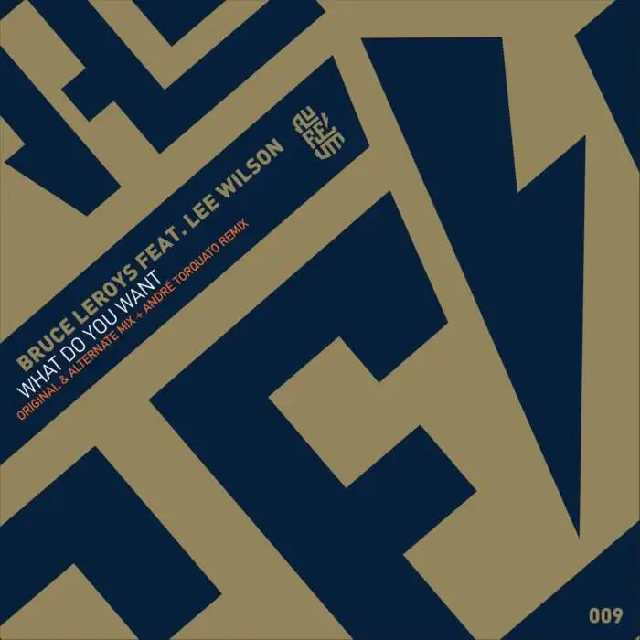 Cover Image: Lee Wilson, Bruce Leroys - What Do You Want on Aureum