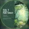 Cover Image for Pure Forest Pinkowitz Remix