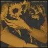 Cover Image for Someone To Hold Original Mix