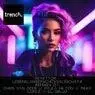 Cover Image for Lebenslangerschicksalsschatz Paula Hilton Remix