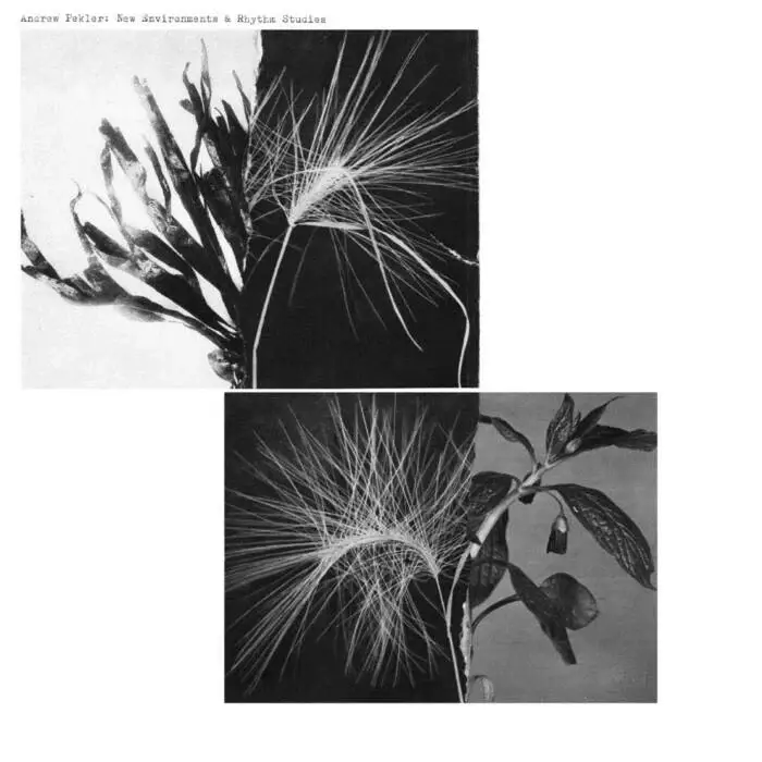 Cover Image: Andrew Pekler - Cumbia Para Los Grillos on Faitiche