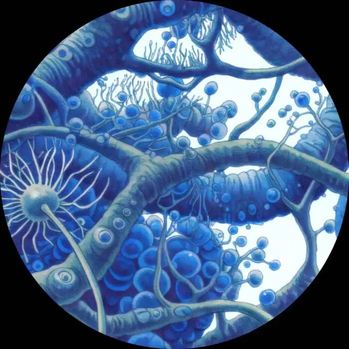 Cover Image: Alejandro Mosso - mosso012 on mosso