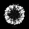Cover Image for Humanity's Shadow Original Mix