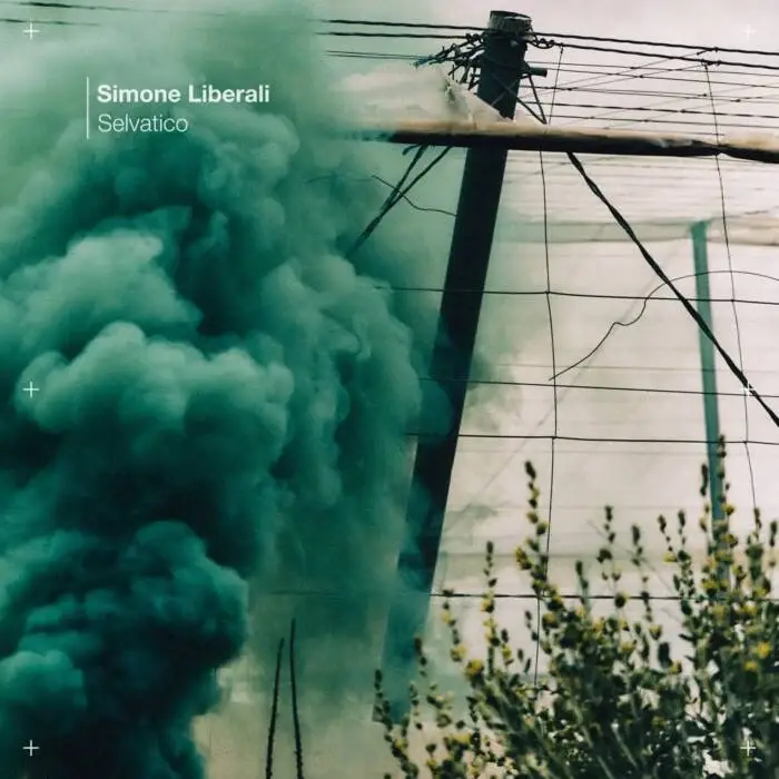 Cover Image: Simone Liberali - Selvatico on Knee Deep In Sound