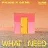 Cover Image for What I Need Extended