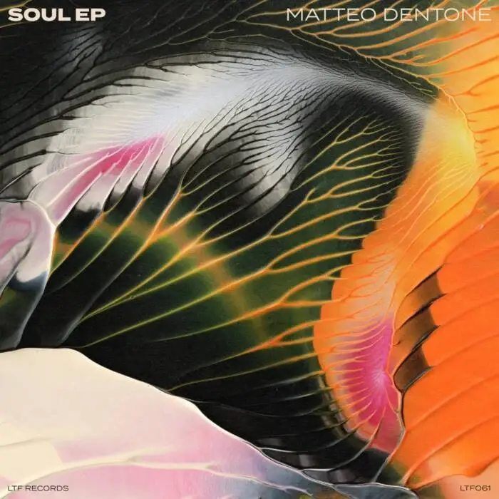 Cover Image: Matteo Dentone - Soul EP on LTF Records