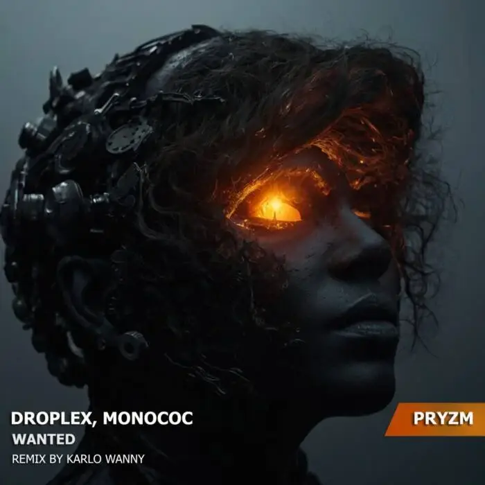 Cover Image: Droplex, Monococ - Wanted on PRYZM Waves