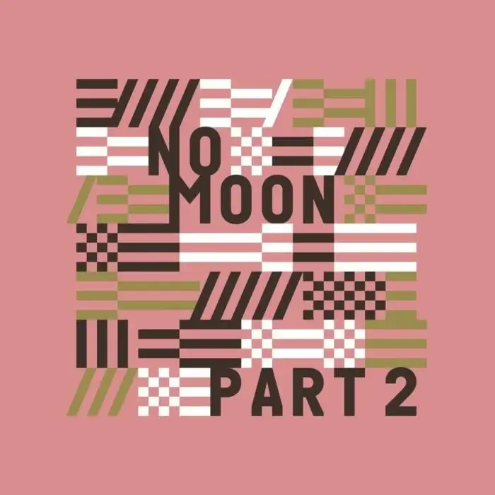Cover Image: VA - No Moon, Pt. 2 on Heideton Records