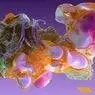 Cover Image for Electrical Feeling Original Mix