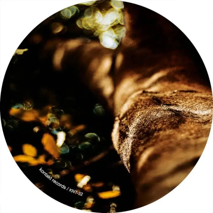 Cover Image: Mike Schommer, Milly James - Leaving the Ground on Kontakt