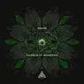 Cover Image for Garden of Wonders Original Mix