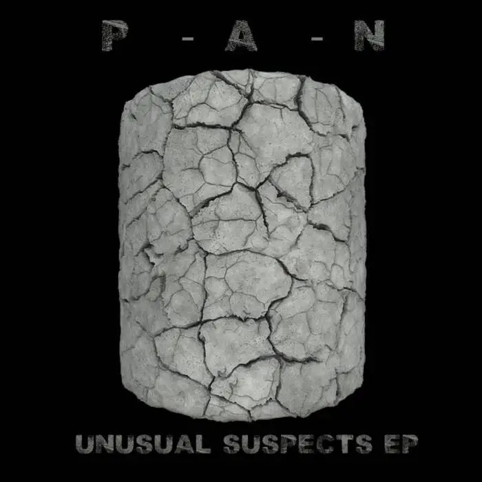 Cover Image: P A N - Unusual Supects on Nein Records