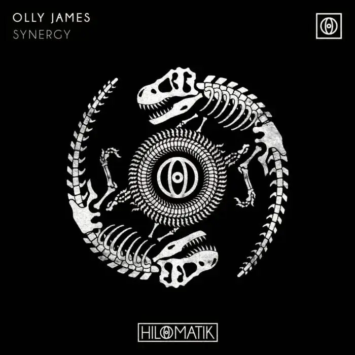 Cover Image: Olly James - Synergy (Extended Mix) on HILOMATIK