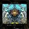 Cover Image for Reflections Original mix