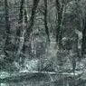 Cover Image for Faint Light Original Mix