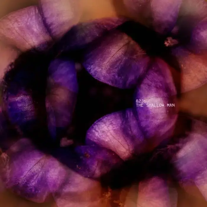 Cover Image: 82J6, Bradler - The Shallow Man on Cadenza