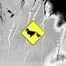 Cover Image for Pond Affair ATMOS Remix