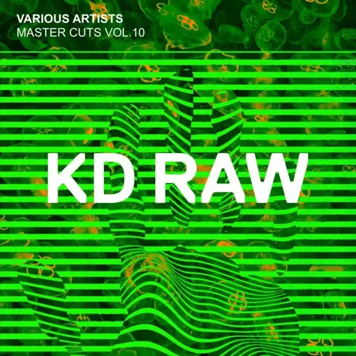 Cover Image: VA - Master Cuts Vol.10 on KD RAW